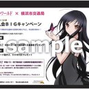 노벨라사 이미지