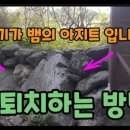 다하누 농장 이미지