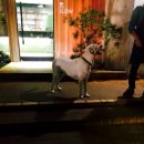 카페슬로우 이미지