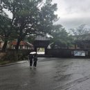 화엄사성보박물관 | &#39;25년 비오는 구례 화엄사 후기