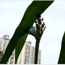 신촌농장 이미지