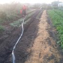 금암농장 이미지