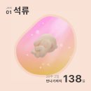 꼬리치랑개 | 2025년 1월 한주일기 (1) 푸른 뱀띠의 해! Happy New Year 🎉🧧