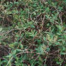 한밭수목원2 이미지