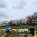 20250414 구로NC백화점 쭈꾸미 이미지