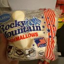 휴그린 | [아산] 글램핑장 추천_스파포레 휴그린 글램포레 후기