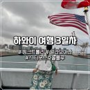 하와이 여행 3일차 / 신혼여행 / 핑크트롤리 / 알라모아나 / 스타오브호놀룰루