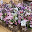 천안초등학교 병설유치원 이미지