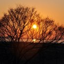 용궁해수탕 이미지