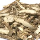 한국신텍스(주) 이미지