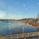 아름다운쉼터 | 호수와 얼큰한 국물, 그리고 여유! "쉼터 민물매운탕" 방문 후기 🍲