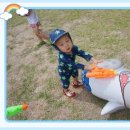 시립보듬이나눔이 어린이집 이미지