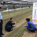 충남농업기술원과재연구소 이미지