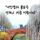 내인생의봄날