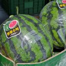 대산청과 이미지