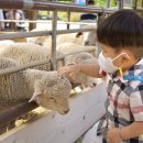 매정목장 이미지