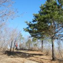 백두대간지구 이미지