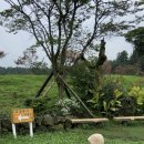 채원목장 이미지