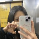 우후죽순(유) 이미지