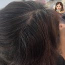 길음5 | [찐후기] 길음 HAIR FOREST(헤어포레스트) 염색후기💇‍♀️