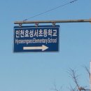 효성하나아파트 앞 이미지