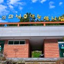 섬진강마실캠핑장 이미지