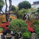 정원펜션 이미지