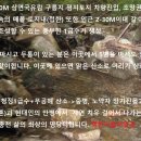 국유림속 오지 차량진입 홍천 소형 토지매매(자연인 동호회) 이미지