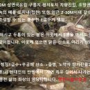 자연인 오지토지100평1천5백 홍천 이미지