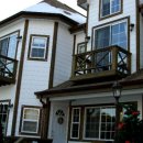 숲속의 별들 이미지