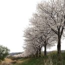 경안천습지생태공원 이미지