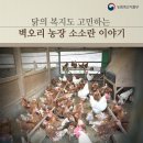 소소농장 이미지