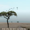 르솔트