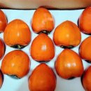 배꼽농원 이미지