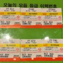웰리힐리파크 스키장 리조트 근처 맛집 눈썰매 스키 강습 횡성 한우 맛집 설화 추천 강원도 가족 여행