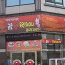 금호대목련차이나