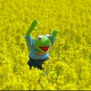 복자하우스 이미지