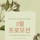 쏠베라 이미지