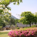 경주 옥산서원 慶州 玉山書院 이미지