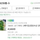 양배축산 네이버블로그