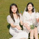 탱고픽처스 이미지