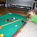 당구한겜 이미지