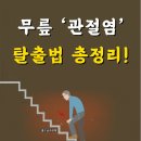 무릎 관절염 탈출법 총정리 이미지