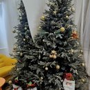 스마트폰 제대로 활용-기본 튼튼 실력 쑥쑥 | 머릿결 고민 끝! 인생 미용실 찾은 후기