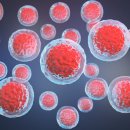 비타민박사 이미지