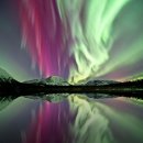 오로라 플러스 이미지