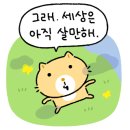 미플란트치과 이미지