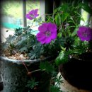 백산유통 이미지