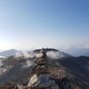 제일부동산중개 이미지