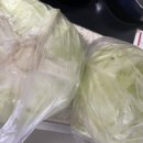 창조피부과의원 | [공지] [일상] 9월 카페 퇴사하고 갓생 살려는데... 제법 웃긴 하루의 연속